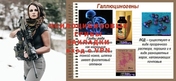 ешки Баксан